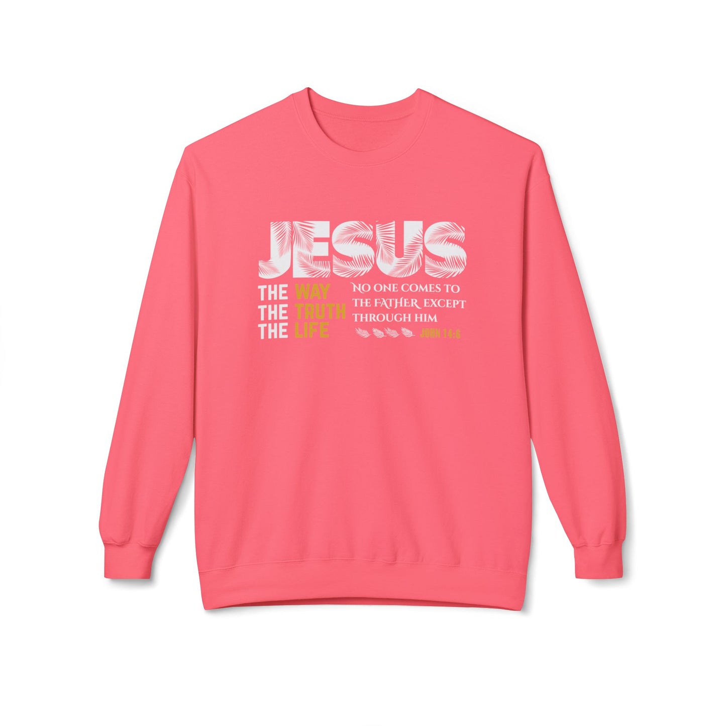 Jesus The Way The Truth The Life John 14:6