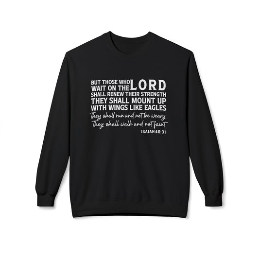Those Who Wait on The Lord Shall Renew Their Strength Isaiah 40:31